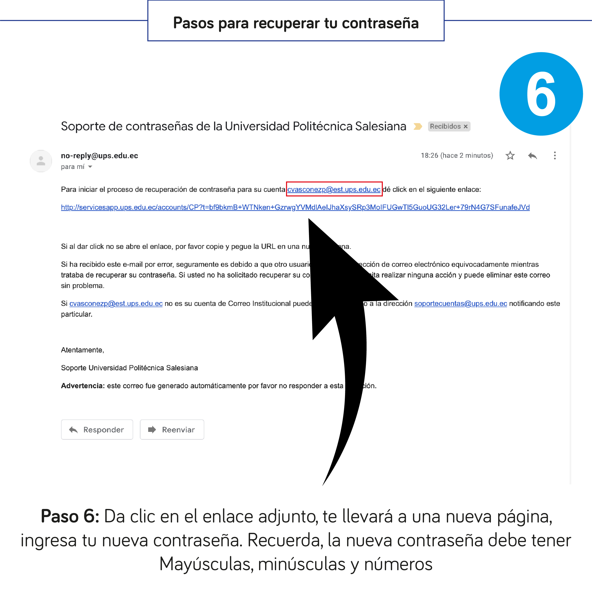 Paso 6